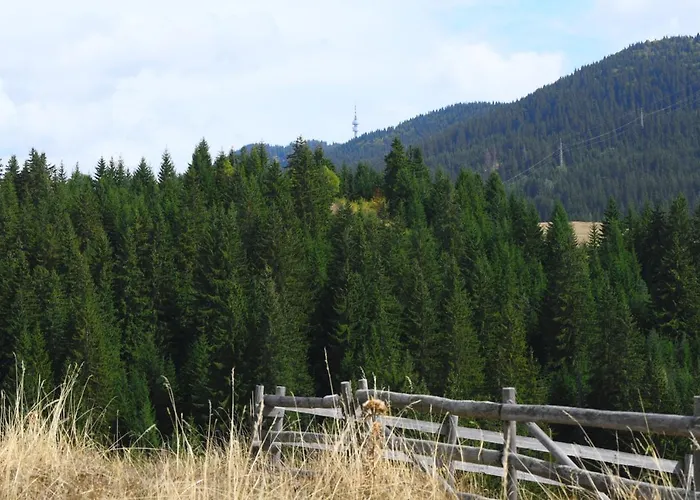 “ния” * Smolyan